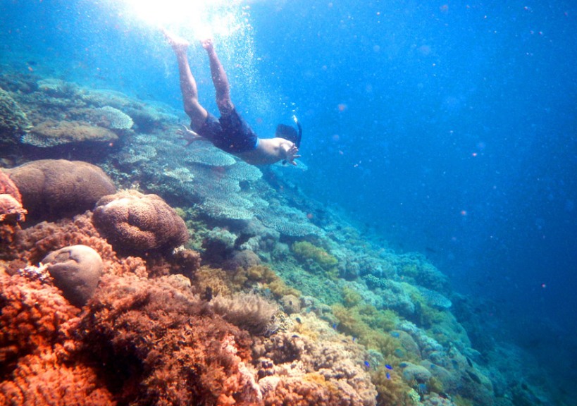 Free dive and enjoy an amazing underwater experiences in Kenawa Island